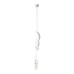 Светильник подвесной Loft It Sherwood 10092