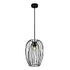 Картинка - Светильник подвесной Loft It Deseno 10031 Black