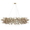 Картинка - Подвесная люстра Loft It Spark 10101/1000 Gold