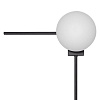 Картинка - Настенный светильник Loft It Meridian 10132/B Black