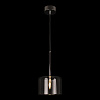 Картинка - Светильник подвесной Loft It Spillray 10232/A Smoke