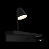 Картинка - Настенный светильник Loft It Shelf 10216/2W Black