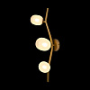 Картинка - Настенное бра Loft It Sakura 10212W Gold