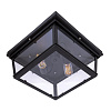 Картинка - Светильник потолочный Loft It Trapezium LOFT3110-2C