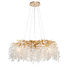 Картинка - Люстра Delight Collection FTB006R-100 brass/clear