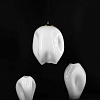 Картинка - Ваза GLASSBURG TULIP Moloko