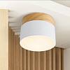 Картинка - Накладной светильник ImperiumLoft Woods01 141161-26