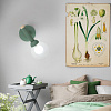 Картинка - Настенное бра ImperiumLoft Egle01 101551-26