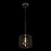 Картинка - Светильник подвесной Loft It Spillray 10232/A Smoke