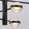 Картинка - Люстра Delight Collection MX22030002-6A black/clear