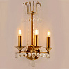 Картинка - Бра Delight Collection Regency