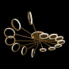 Картинка - Потолочная люстра Loft It Megan 10164L Gold
