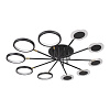 Картинка - Потолочная люстра Loft It Megan 10164M Black