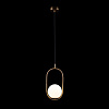 Картинка - Светильник подвесной Loft It Glob LOFT2595-A