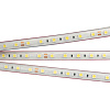 Картинка - ветодиодная лента герметичная RTW-PS-B60-12mm 24V Day4000 (14.4 W/m, IP67, 5060, 5m) (Arlight, 14.4 Вт/м, IP67) 021398(2)
