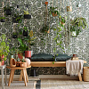 Картинка - Kerradeco Floral Hanging Plants