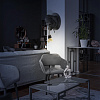 Картинка - Настенный светильник Loft It Gorilla 10178 White